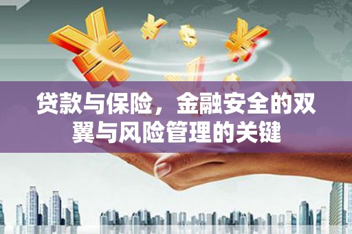 通道贷款与保险，金融安全的双翼与风险管理的关键