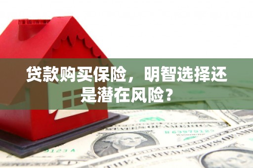香格里拉贷款购买保险，明智选择还是潜在风险？