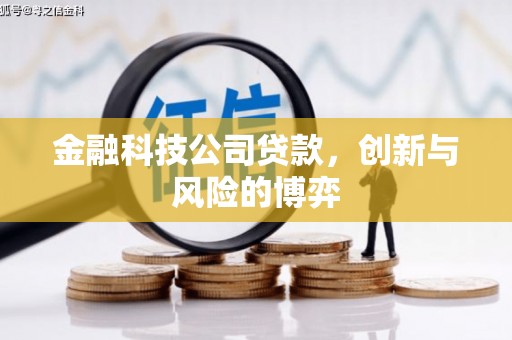 临邑金融科技公司贷款，创新与风险的博弈
