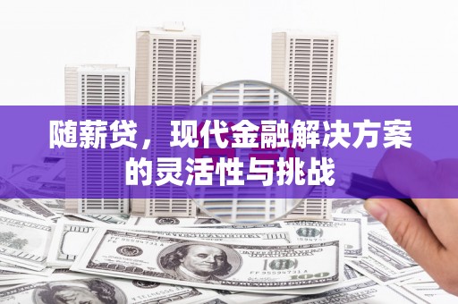 墨江随薪贷，现代金融解决方案的灵活性与挑战