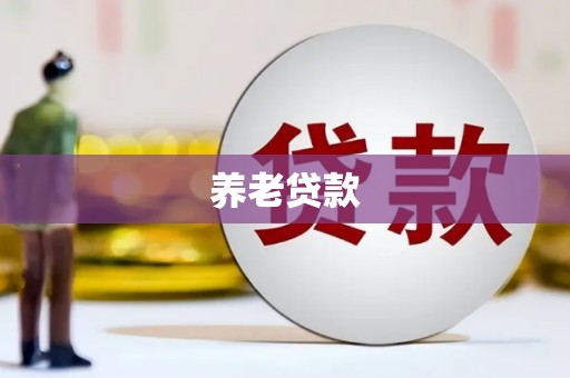 历城养老贷款