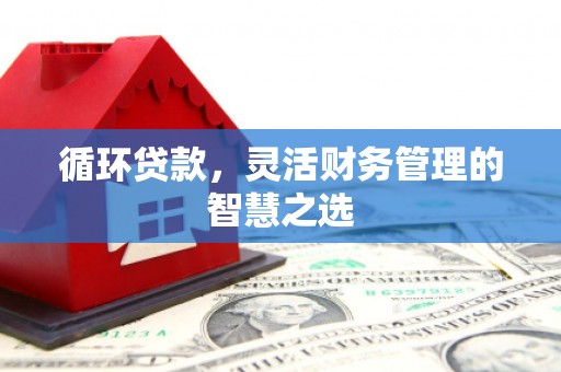 湖西循环贷款，灵活财务管理的智慧之选