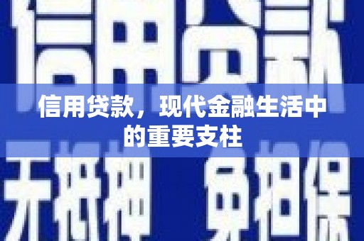 洋县信用贷款，现代金融生活中的重要支柱