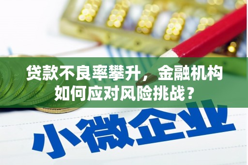 渭源贷款不良率攀升，金融机构如何应对风险挑战？