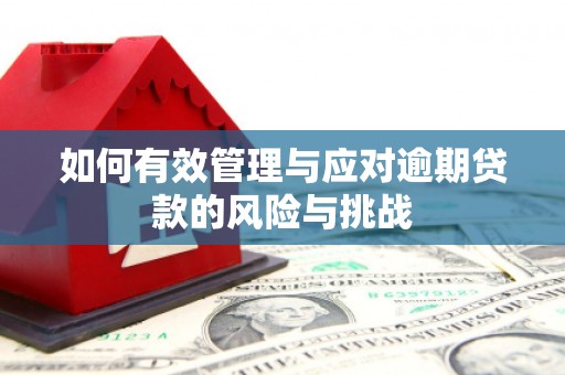 漠河如何有效管理与应对逾期贷款的风险与挑战