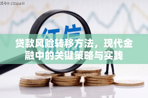 屏山贷款风险转移方法，现代金融中的关键策略与实践