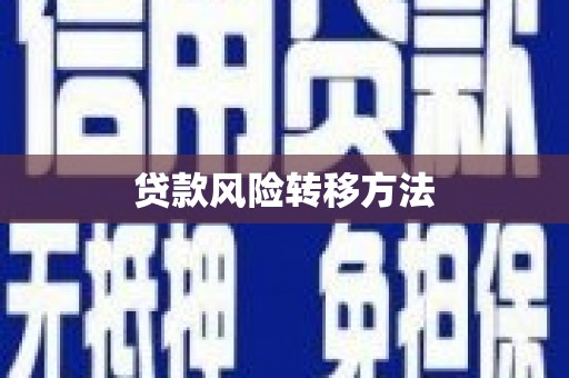 绥滨贷款风险转移方法 绥滨贷款风险转移方法