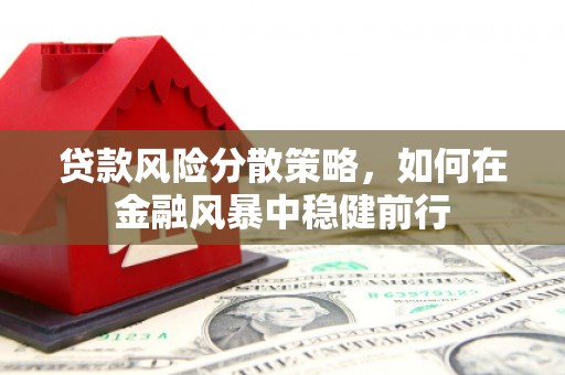 阜康贷款风险分散策略，如何在金融风暴中稳健前行