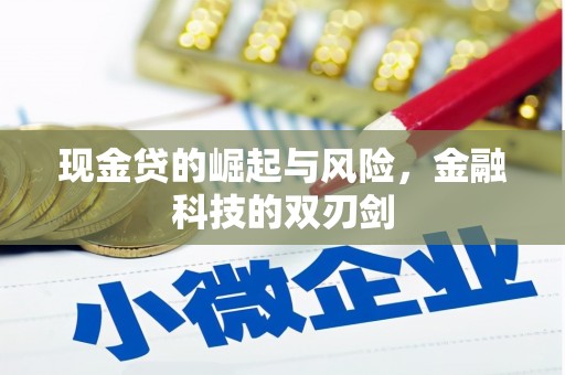 喀什现金贷的崛起与风险，金融科技的双刃剑