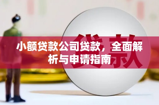 辛集小额贷款公司贷款，全面解析与申请指南