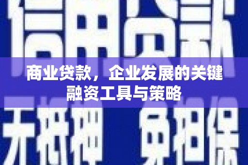 宁乡商业贷款，企业发展的关键融资工具与策略