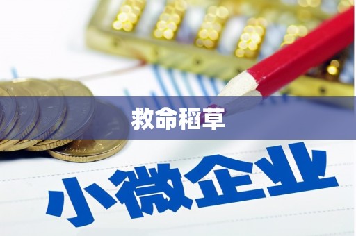 南涧救命稻草
