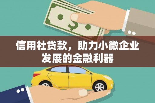 唐县信用社贷款，助力小微企业发展的金融利器