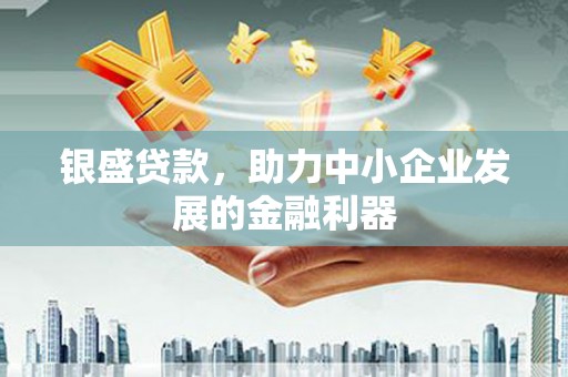 毕节银盛贷款，助力中小企业发展的金融利器
