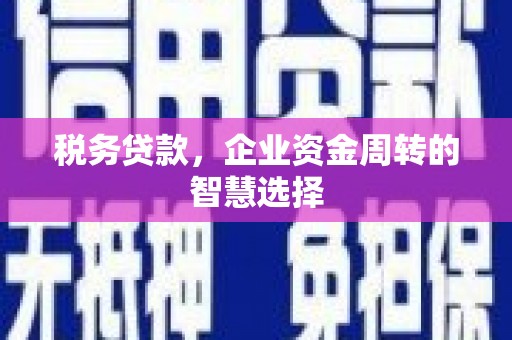 南乐税务贷款，企业资金周转的智慧选择
