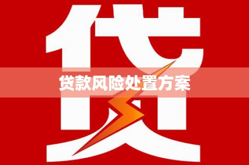 岭东贷款风险处置方案
