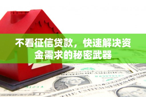 江源不看征信贷款，快速解决资金需求的秘密武器