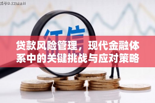 沙洋贷款风险管理，现代金融体系中的关键挑战与应对策略