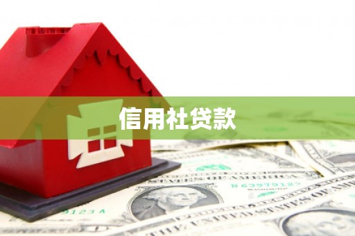 瑞穗信用社贷款