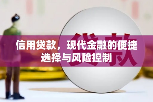 武江信用贷款，现代金融的便捷选择与风险控制