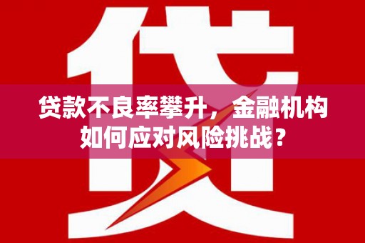 桦川贷款不良率攀升，金融机构如何应对风险挑战？