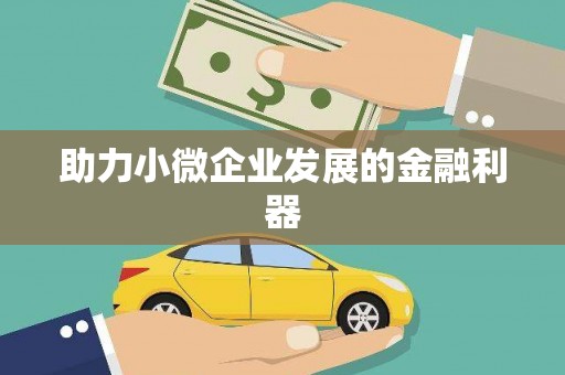 海伦助力小微企业发展的金融利器