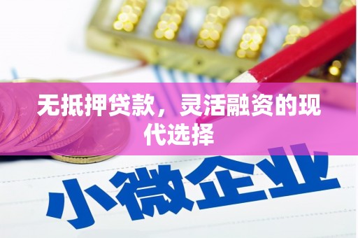 东乡族无抵押贷款，灵活融资的现代选择