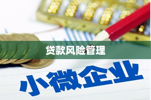 沙依巴克贷款风险管理