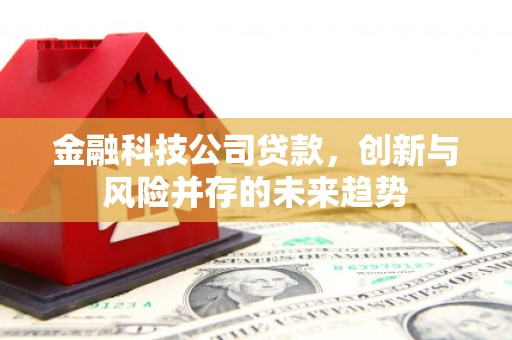 伽师金融科技公司贷款，创新与风险并存的未来趋势