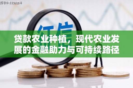 吴起贷款农业种植，现代农业发展的金融助力与可持续路径