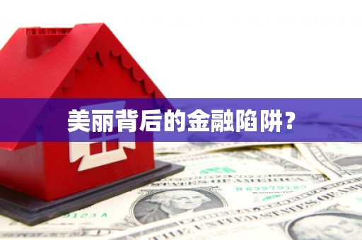 平远美丽背后的金融陷阱？