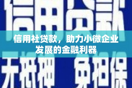 龙潭信用社贷款，助力小微企业发展的金融利器
