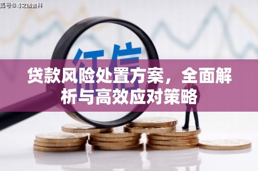 乡城贷款风险处置方案，全面解析与高效应对策略