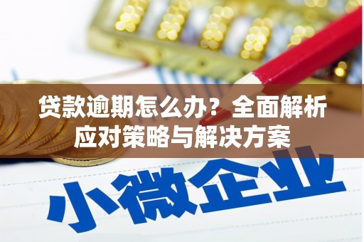沙湾贷款逾期怎么办？全面解析应对策略与解决方案