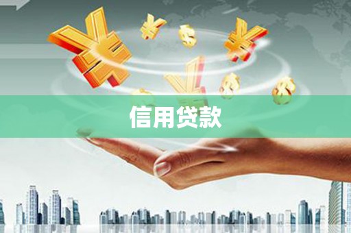 南陵信用贷款
