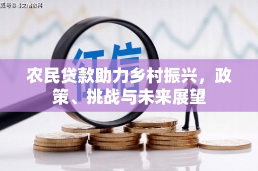 来宾农民贷款助力乡村振兴，政策、挑战与未来展望