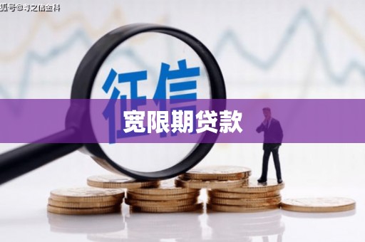 苑里宽限期贷款