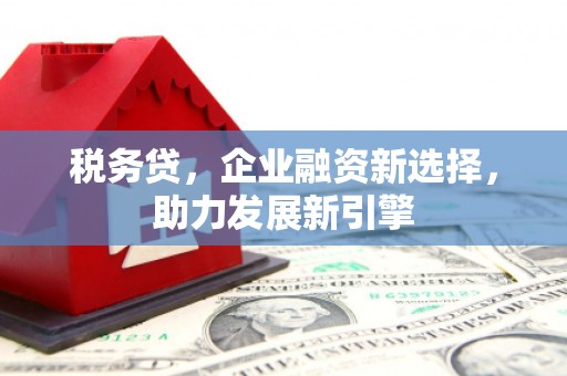 罗源税务贷，企业融资新选择，助力发展新引擎