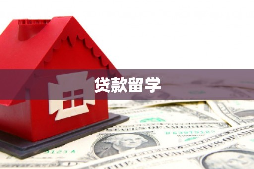 桃园贷款留学