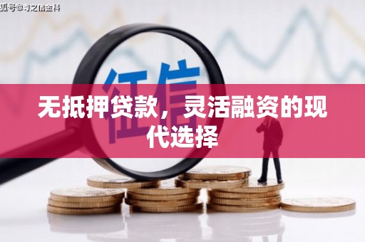 黎川无抵押贷款，灵活融资的现代选择