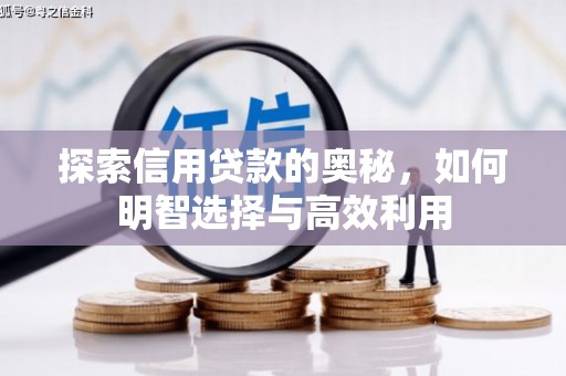 昭苏探索信用贷款的奥秘，如何明智选择与高效利用
