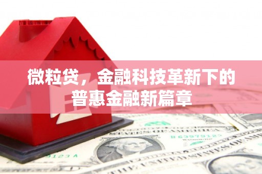 社头微粒贷，金融科技革新下的普惠金融新篇章
