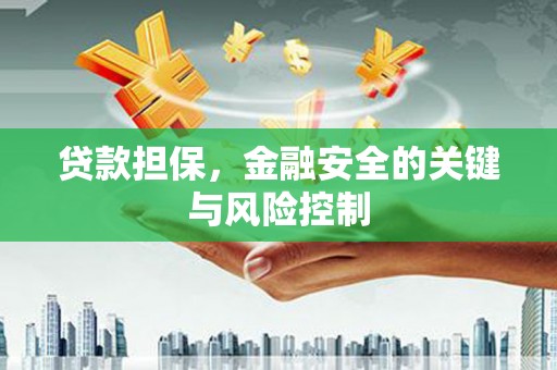 辽宁贷款担保，金融安全的关键与风险控制