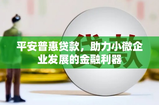 吕梁平安普惠贷款，助力小微企业发展的金融利器
