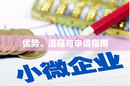 芮城优势、流程与申请指南