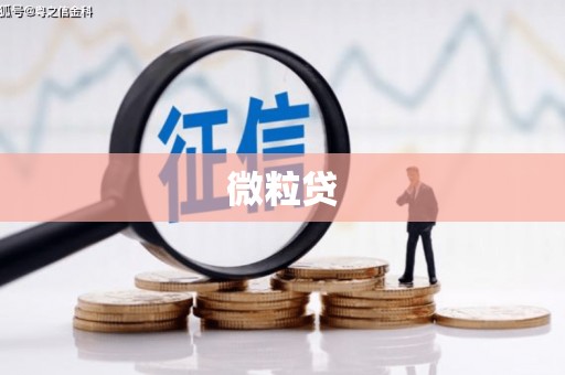 和县微粒贷