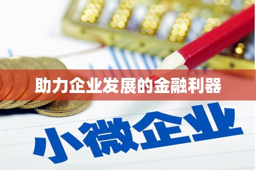 漳县助力企业发展的金融利器