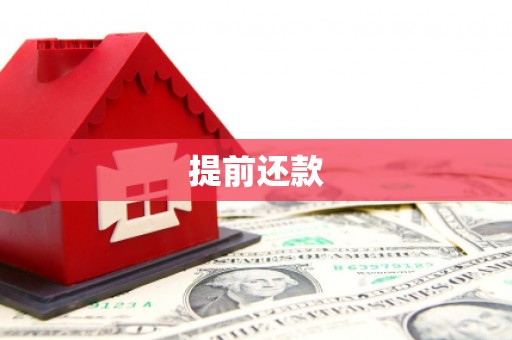 积石山提前还款