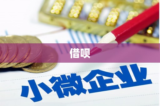 毕节借呗