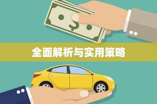 临沧全面解析与实用策略